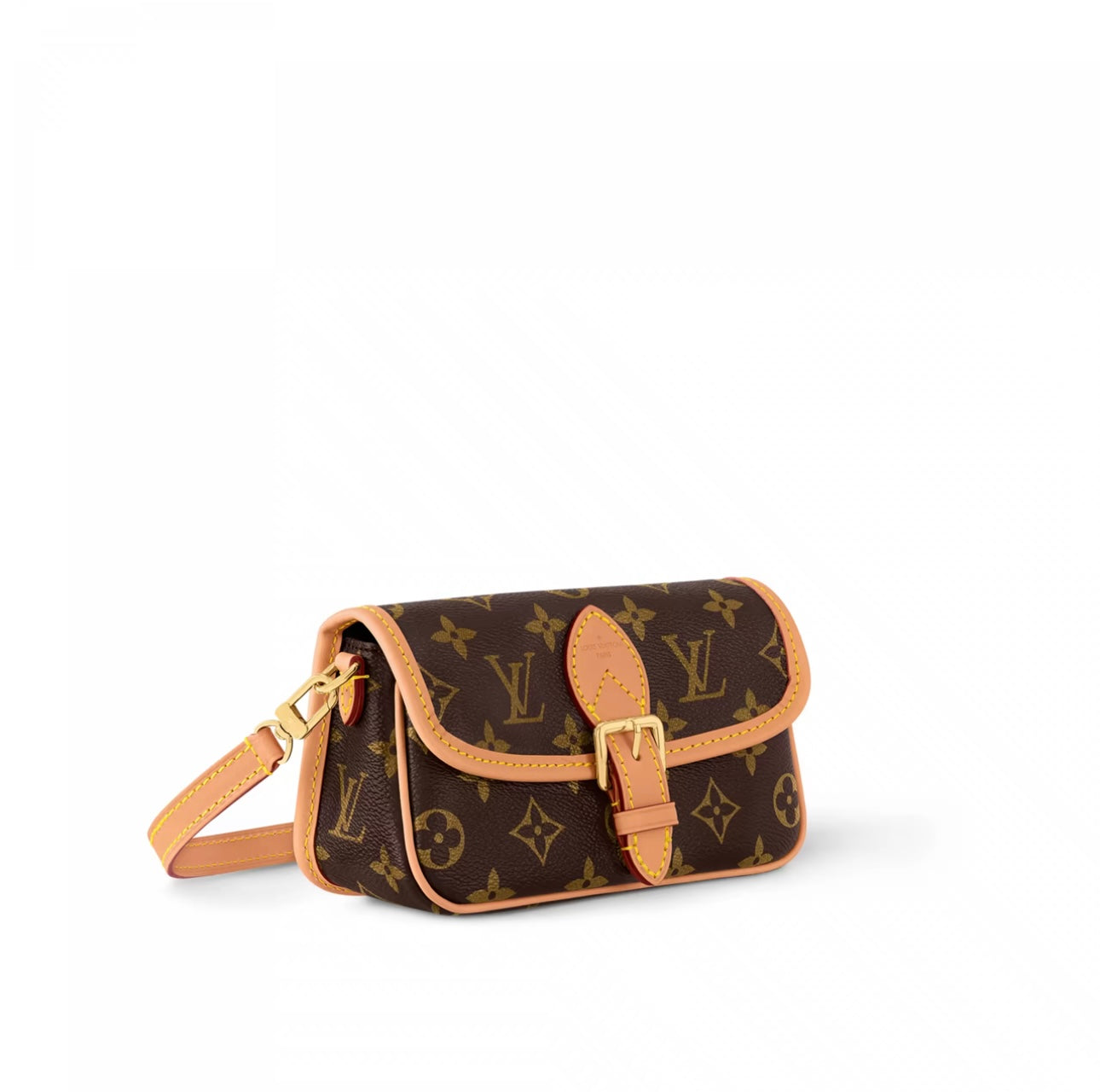Luis Vuitton Nano Diane